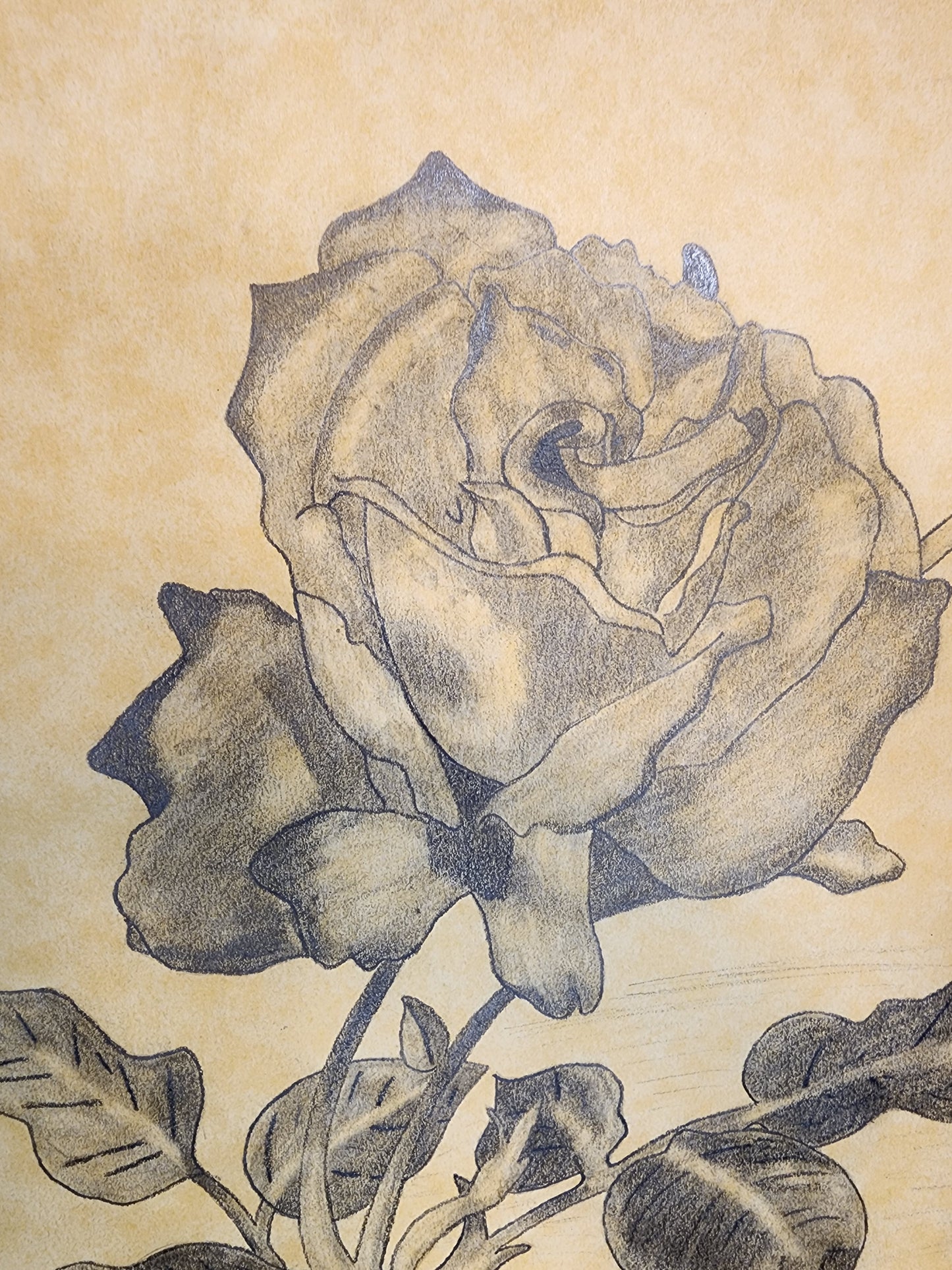 Flower In The Breeze - Freehand Original Artwork - Pencil