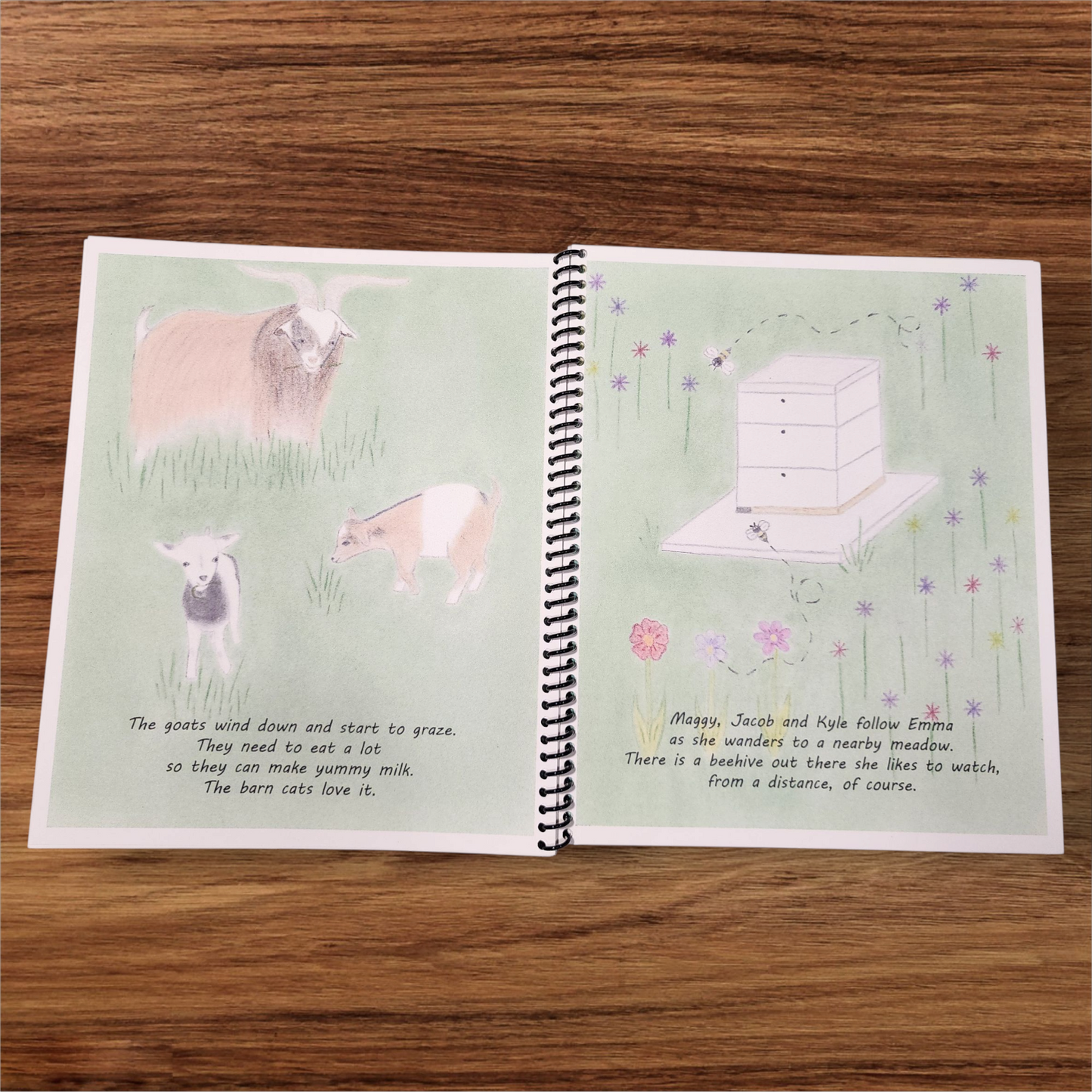 Emma's Farm Children's Picture Book